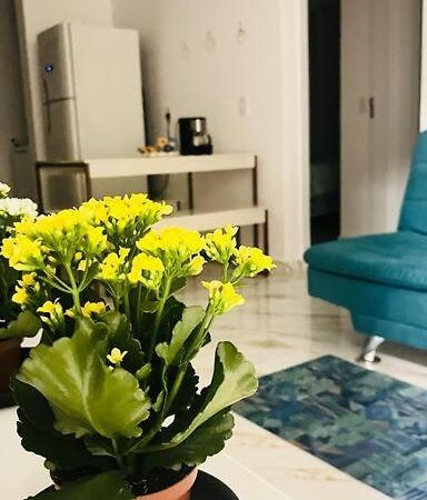 Apartamento No Andar Terreo Foz do Iguaçu Eksteriør billede